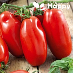 Italian Heirloom - Tomato...