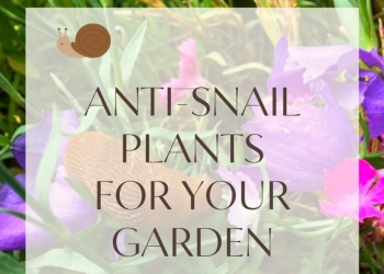 Anti-Snail Plants